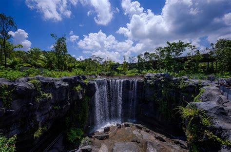 Bird Paradise At Mandai Opens On 8 May, Visit Creatures After Their Move From Jurong