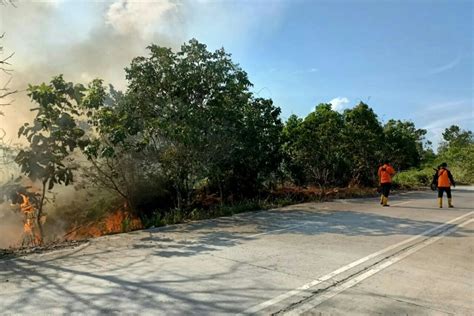 153 Titik Panas Terdeteksi BMKG Di Kalimantan Timur ANTARA News