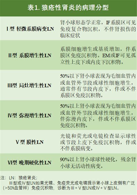 全文 中国狼疮肾炎诊断和治疗指南我国