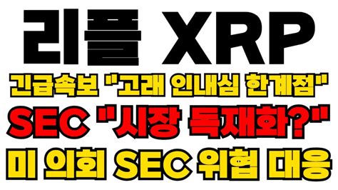 리플 Xrp 긴급속보 고래 인내심 한계점 Sec 시장 독재화 움직임 미의회 위협대응 영상 꼭 끝까지보세요 Youtube