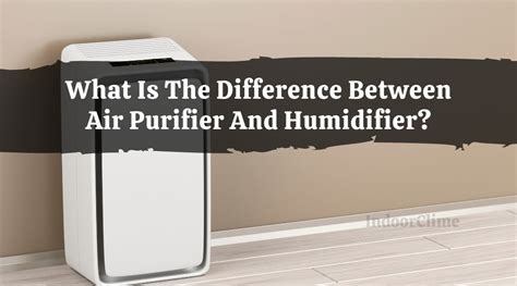 What Is The Difference Between Air Purifier And Humidifier IndoorClime