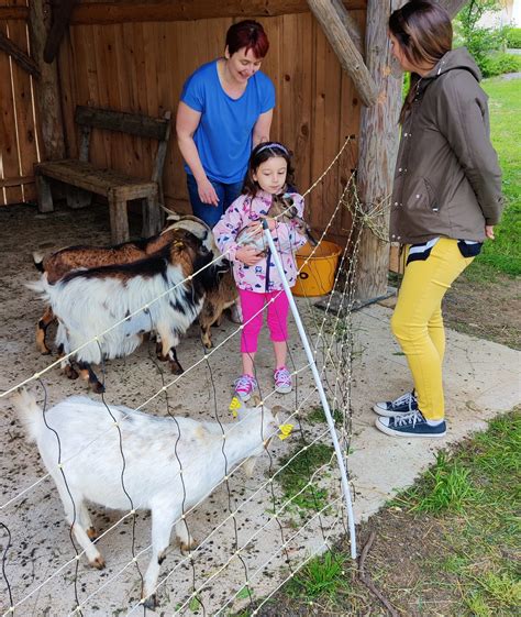 Slovenia – Pat the Expat