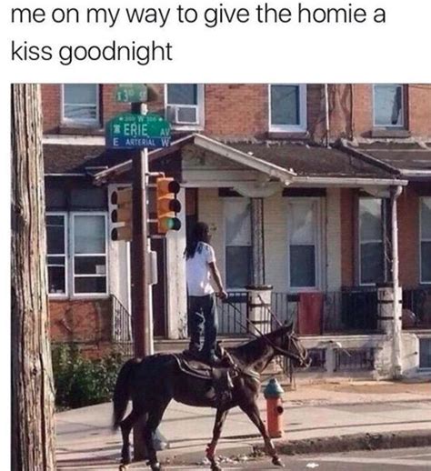 On A Horse Kiss Your Homies Goodnight Know Your Meme