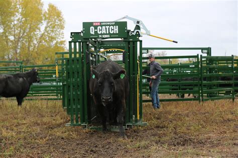 Manual Cattle Head Gate