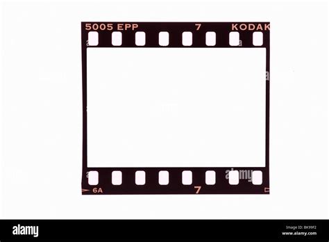 35mm Film Frame