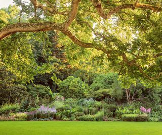 Tour the Buckingham Palace gardens: and discover its secrets | Homes ...