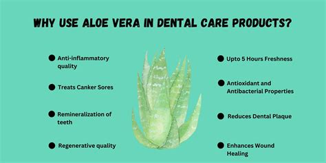 What are the Benefits of Using Aloe Vera Mouthwash? - PUREXA Oral Care