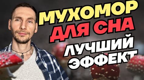 Мухомор для сна. Самый лучший эффект мухомора. Эффект красного мухомора ...