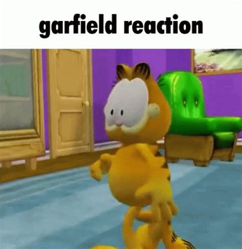 Garfield Reaction Garfield Reaction Shocked Discover Share Gifs