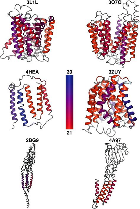 Interplay Between Hydrophobicity And The Positive Inside Rule In