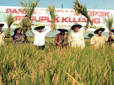 Panen Padi Perdana Antara Foto