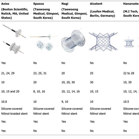 Types Of Lumen Apposing Metal Stents All Stent Images Available On