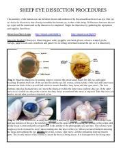 Sheep Eye Dissection Lab SHEEP EYE DISSECTION PROCEDURES The Anatomy