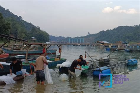 Infopublik Kontribusi Pdrb Sumut Dan Riau Tertinggi Di Sumatra