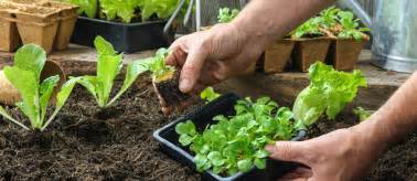 Top 10 Tips for Sustainable Gardening - Wheelie Bin Storage