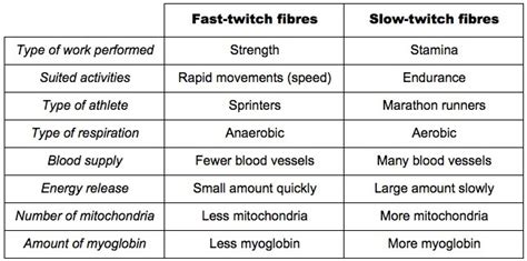 Strength Training And The Older Athlete The Runners Edge