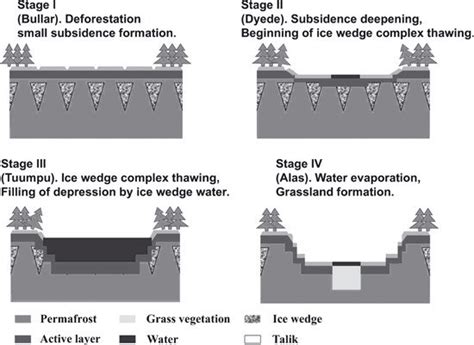 Stages of thermokarst formation in Central Yakutia (after Bosikov ...