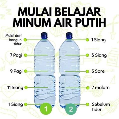 Minum Air Putih Sistem Tubuh Manusia Ilmu Kesehatan Masyarakat