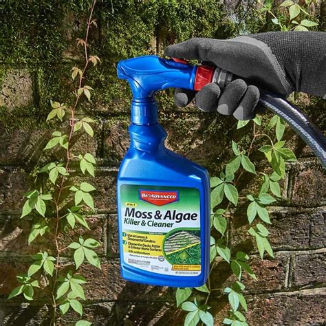 No Moss Is No Loss Finding The Best Moss Killer For Lawns