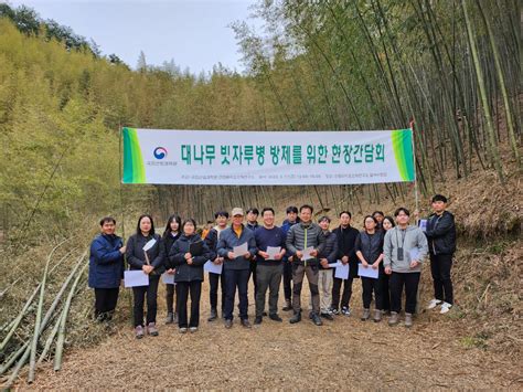 산림청 국립산림과학원 건강한 대나무숲 관리를 위한 현장간담회 개최 뉴스 비즈투데이 요약도서 E카탈로그 뉴스