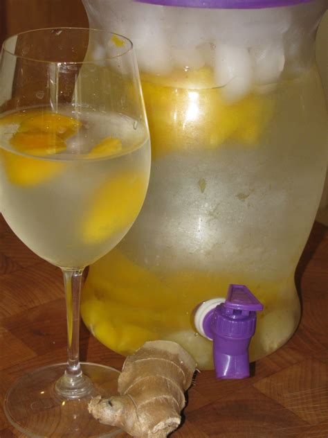 METABOLISM BOOSTING Day Spa Mango Ginger Water 0 Calories LOSE 3 LBS