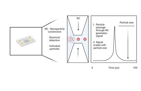 Coulter Principle In The Microfluidic Chip Biorender Science Templates