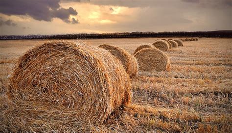 Comment Renforcer La Protection Du Monde Agricole Face Aux Catastrophes