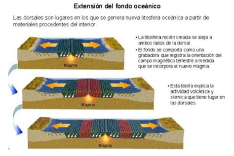 Dorsales Oceanicas