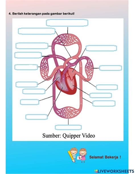 Lkpd Organ Sistem Peredaran Darah Worksheet Live Worksheets