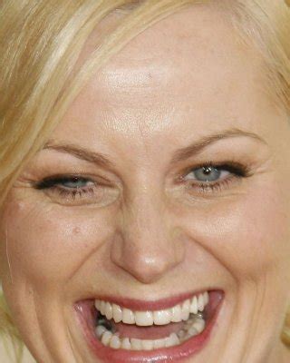 Amy Poehler Porn Pictures Xxx Photos Sex Images Pictoa