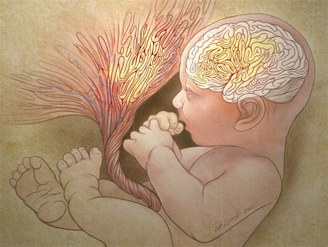 Autism Risk Spotted At Birth In Abnormal Placentas