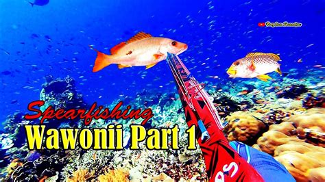 Spearfishing Part Wawonii Konawe Kepulauan Youtube