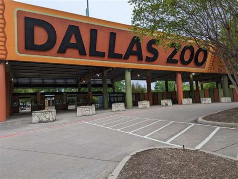 Best 7 Things to Do in Dallas Zoo