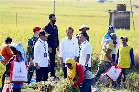 Di Ngawi Presiden Jokowi Didampingi Mentan Syl Panen Raya Padi Monitor