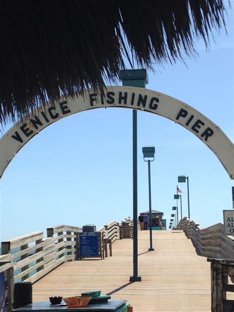 Venice Fishing Pier, FL | Captiva island florida, Florida destinations ...