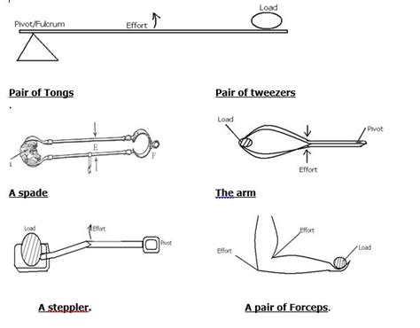 Third Class Lever Tweezers