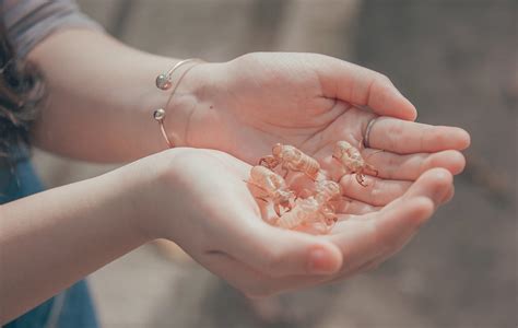 Free Images Love Cute Portrait Beautiful Happy Girl Hand