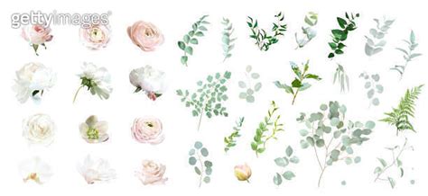 Pink Rose White Peony Magnolia Blush Pink Ranunculus Eucalyptus