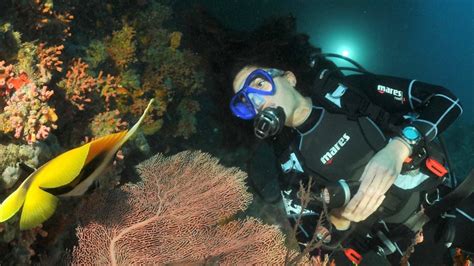 Night Dives Dive Butler Zen By Mövenpick Maldives Scuba Diving