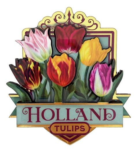 Glanzende Tulpen Magneet Holland Groen Kopen Bij Hollandwinkel Nl