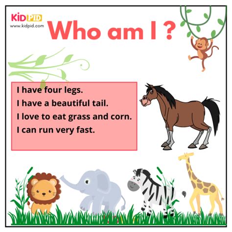 Animal Riddles - Kidpid