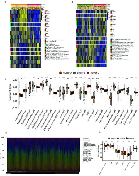 Tme Cell Infiltration And Biological Characteristics In Three Subtypes