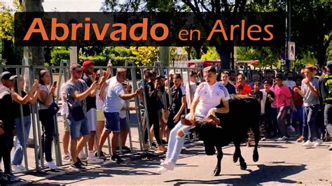 Abrivado De Taureaux En Arles Bull Race In Camargue Youtube