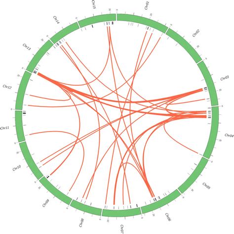 Collinear Gene Pairs For I Trifida Nbs Genes On 15 Chromosomes The Download Scientific