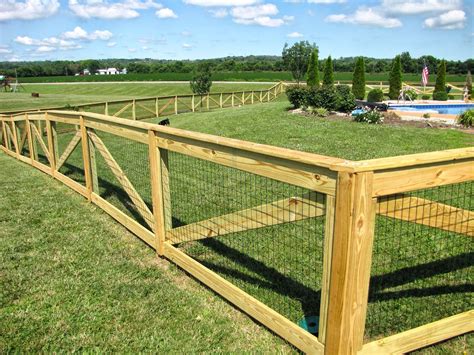 Dog Fence Ideas In 2023 – HomeDecorish