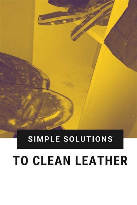 How To Clean Mold Off Leather In Four Easy Steps Clean Mold How To