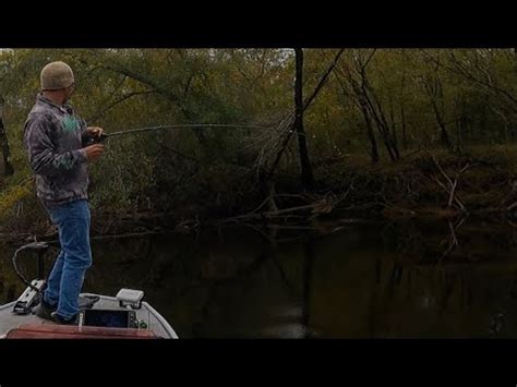 Livindadream Ne Cape Fear River Fall Top Water Bass Fishing