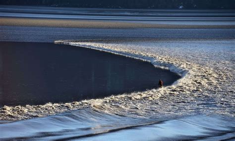 Turnagain Bore Tide — Visit Girdwood