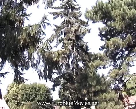 Love Letters Soft Skin Hardcore Porn By Euro Blue Movies