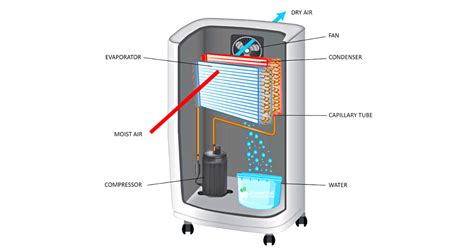 How Does A Dehumidifier Work 2025 A Simple Science Explanation